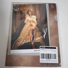 鈴木愛理 コレクション生写真 コレ写 クリアファイル バイアス bias .のサムネイル
