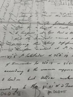 生地　英文字　グレー