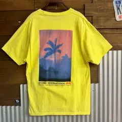 STUSSY INTERNATIONAL バックプリントTシャツ L