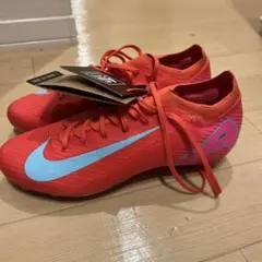 Item thumbnail for item b620f340-c865-4aa4-b623-812010d3fd4a