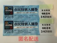 匿名配送　チケット　デンパーク入園券　4名分　クーポン　割引券