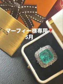 マーフィー様専用❣️5月