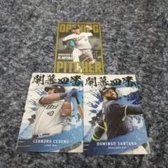 匿名配送　2025プロ野球チップスカード第2弾　まとめ売り　3枚セット