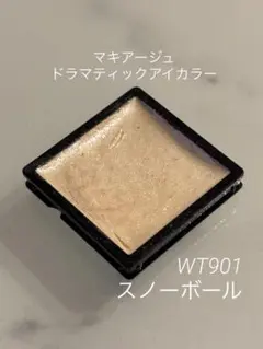 マキアージュ ドラマティックアイカラー　アイシャドウ スノーボール WT901のサムネイル