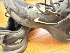 Item thumbnail for item 985c3ed4-504c-4d33-9534-58967407bb05