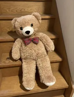テディベア ぬいぐるみ 眼鏡付き チェック柄リボン 15200→10800 テディベア ぬいぐるみ 眼鏡付き チェック柄リボン 15200→10800