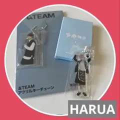 2026年最新】&team アクスタ ハルアの人気アイテム - メルカリ