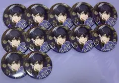 シクフォニ　いるま　お正月　2025　缶バッチ　12点セット