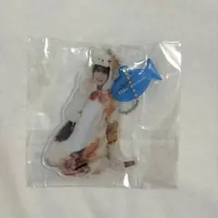 日向坂46 鶴崎仁香 どうぶつ着ぐるみ アクキー