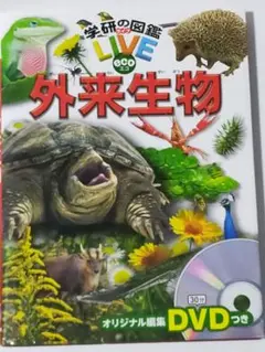 外来生物