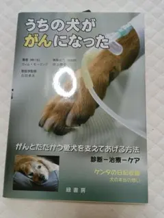 Item thumbnail for item 4de69dd0-c216-4334-bff7-5f090640453b