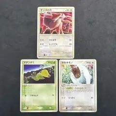 ポケモンカード ケンタロス マダツボミ ヤルキモノ 3枚セット