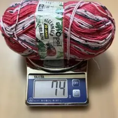 Opal REGENWALD JAHRE 1208 3572 残糸
