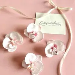 Item thumbnail for item 43387904-5666-40f0-9d31-648d4dde3a2c