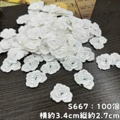 Item thumbnail for item aa80f368-100f-421d-a4e3-2022c2641666