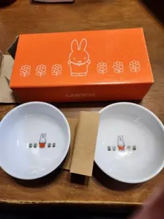 Item thumbnail for item 4b6625e5-8b44-428e-8189-602e0af20529