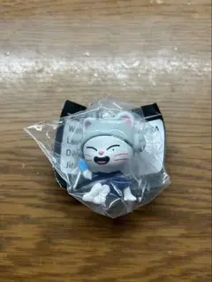 Straykids SKZOOガチャ　サウナフィギュア