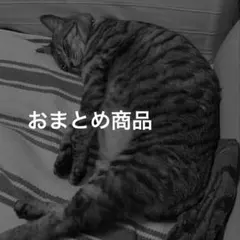 なでしこ様 リクエスト 6点 まとめ商品