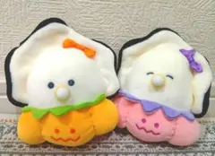 つぶらな瞳のなまがき かぼちゃぱんつ もちふわ　全2種セット