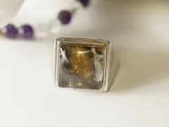 2025年最新】パラサイト隕石の人気アイテム - メルカリ