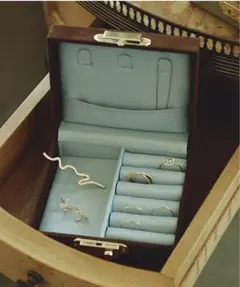 SLOBE IENA Ex-Libris Paris 別注 アクセサリーボックス