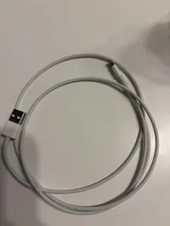 순정Apple Lightning - USB 케이블 본체