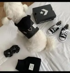 Item thumbnail for item 91e59b58-b238-4e3b-a607-d7e5ab573257