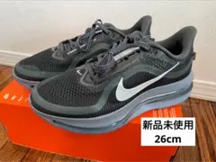 Item thumbnail for item 73c43266-faf9-406d-b3c8-3667fffdb138