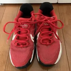 匿名配送　送料込　NIKE 子供用　スニーカー22.5cm