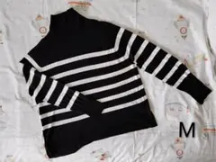 ZARA ストライプ タートルネック ニット M