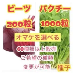 SylvanianDreams様 リクエスト 9点 まとめ商品