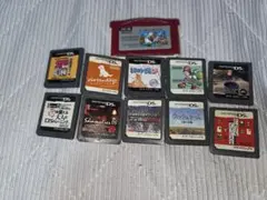 ニンテンドーDS ソフト 11本セット まとめ売り