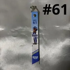 横浜DeNAベイスターズ ファンフェス ボンフィン 蝦名達夫 選手