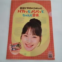 川栄李奈　クリアファイル　マルハニチロ