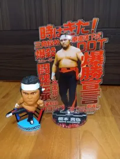 希少 未開封 早い者勝ち 山本