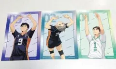 ハイキュー アニメイト フェア 特典 カード 影山飛雄 菅原孝支 及川徹