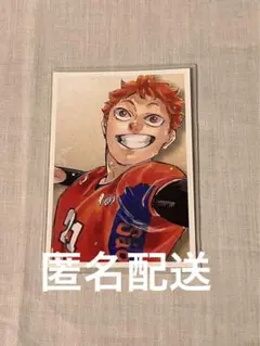 ハイキュー 日向翔陽 思い出スナップフォトカード チェキ ブロマイド