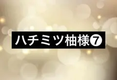 ハチミツ柚様　専用