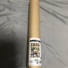 忍たま乱太郎　A3マット加工ポスター　六年生のおせんたくの段