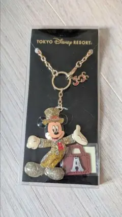 東京ディズニーリゾート30周年記念 キーチェーン
