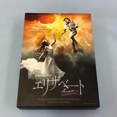 ミュージカル イヴ・サンローラン DVD - メルカリ