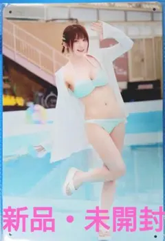 Item thumbnail for item 8e44e71e-921f-4337-8f12-654e751ae19b