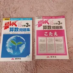 最レベ算数と国語問題集小学3年 おまとめ2さつ
