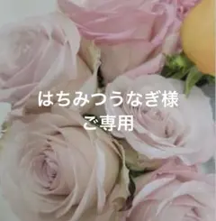 はちみつうなぎ様　ご専用です。