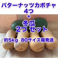 バターナッツカボチャ ４つと冬瓜セット ２つ