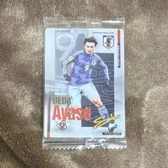 Item thumbnail for item 2864f9ae-6494-4b7b-9517-40be657cf7dd