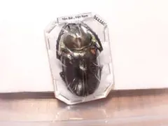 ベトナム産 ヤンソニーテナガコガネ 標本 - メルカリ