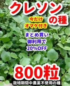 はなな様 リクエスト 3点 まとめ商品