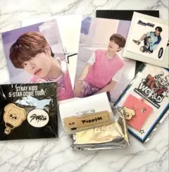Straykids スンミン グッズセット Stray Kids スキズ スンミン グッズ まとめ売り - メルカリ