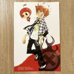 家庭教師ヒットマンREBORN! ポストカード 沢田綱吉 ジャンプSQ 付録